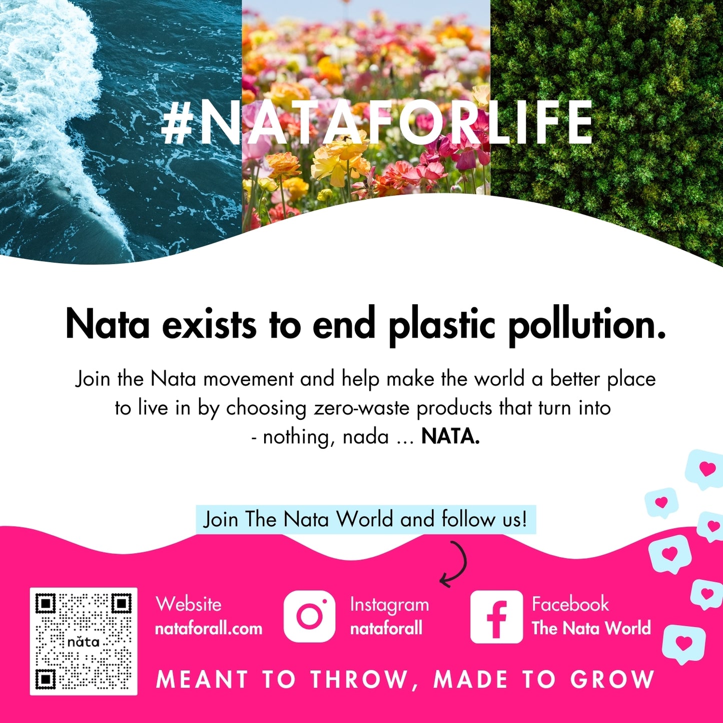 Follow us for a Nata World