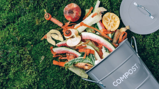 Best Home Composting Method For You